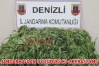 JANDARMA’DAN UYUŞTURUCU OPERASYONU