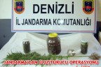 JANDARMA’DAN UYUŞTURUCU OPERASYONU