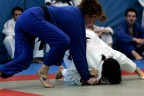 Judo ligi başlıyor