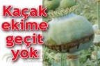 Kaçak ekime geçit yok