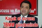 Kaçak et sorunu TBMM gündeminde