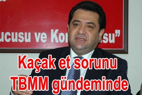 Kaçak et sorunu TBMM gündeminde