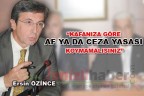 “KAFANIZA GÖRE AF YA DA CEZA YASASI KOYMAMALISINIZ”
