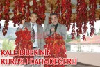 KALE BİBERİNİN KURUSU DAHA DEĞERLİ