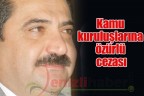 Kamu kuruluşlarına özürlü cezası