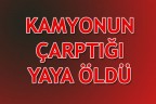 KAMYONUN ÇARPTIĞI YAYA ÖLDÜ