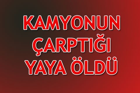KAMYONUN ÇARPTIĞI YAYA ÖLDÜ