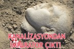 KANALİZASYONDAN İMPARATOR ÇIKTI