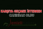 Karşıya geçmek isterken canından oldu