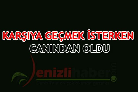 Karşıya geçmek isterken canından oldu