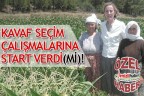 KAVAF SEÇİM ÇALIŞMALARINA START VERDİ(Mİ)!