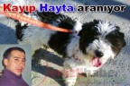 Kayıp Hayta aranıyor
