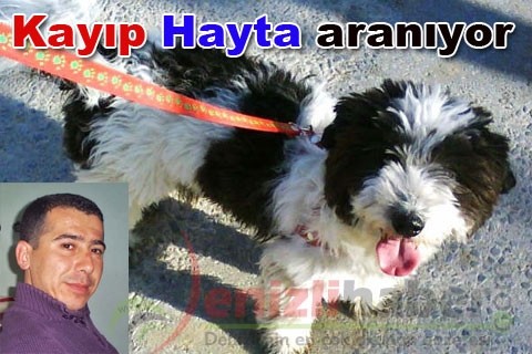 Kayıp Hayta aranıyor