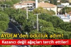 Kazancı değil ağaçları tercih ettiler!