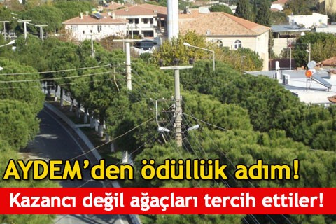 Kazancı değil ağaçları tercih ettiler!