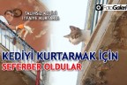 KEDİYİ KURTARMAK İÇİN SEFERBER OLDULAR