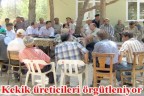 Kekik üreticileri örgütleniyor