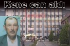Kene can aldı