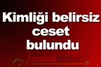 Kimliği belirsiz ceset bulundu
