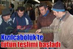 Kızılcabölük’te tütün teslimi başladı