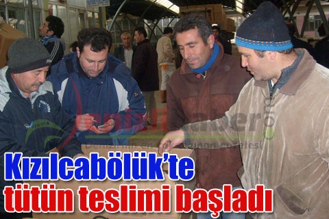 Kızılcabölük’te tütün teslimi başladı