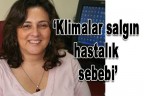“Klimalar salgın hastalık sebebi”