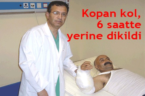 Kopan kolu yerine diktiler!