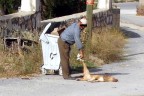 Köpeği öldürmekten değil, öldürdüğü silahı kullanmaktan ceza aldı