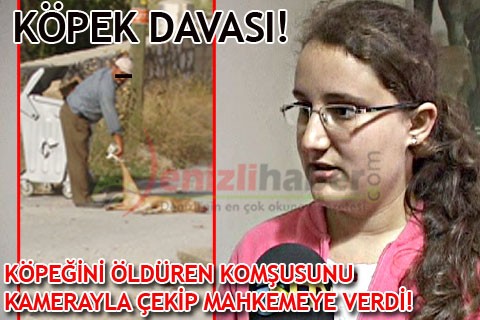 KÖPEK DAVASI!