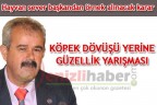 KÖPEK DÖVÜŞÜ YERİNE GÜZELLİK YARIŞMASI