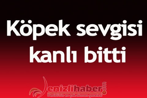 Köpek sevgisi kanlı bitti