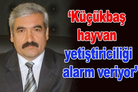 “Küçükbaş hayvan yetiştiriciliği alarm veriyor”