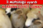 KURBANA EZİYET GÜNAH