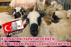 KURNAZLIK YAPAYIM DERKEN BİR KURBAN PARASI DAHA ÖDEMEYİN!