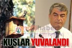 Kuşlar yuvalandı