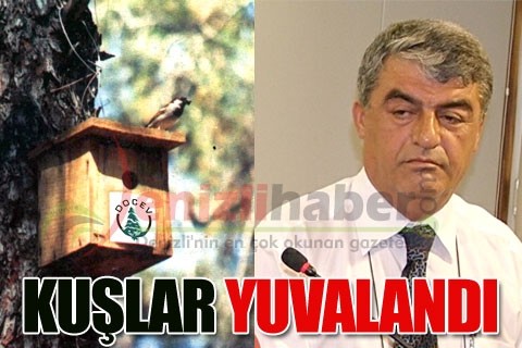 Kuşlar yuvalandı