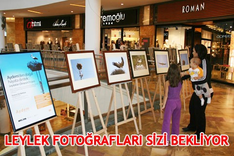 LEYLEK FOTOĞRAFLARI SİZİ BEKLİYOR