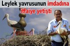 Leylek yavrusunun imdadına itfaiye yetişti
