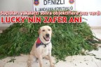 LUCKY’NİN ZAFER ANI