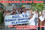 Mağdurlar erik ağacına dilek tapusu astı
