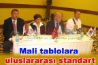 Mali tablolara uluslararası standart