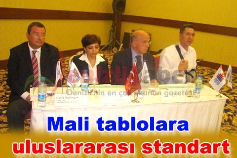 Mali tablolara uluslararası standart
