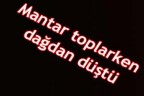 Mantar toplarken dağdan düştü