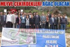 MEYVE ÇEKİRDEKLERİ AĞAÇ OLACAK