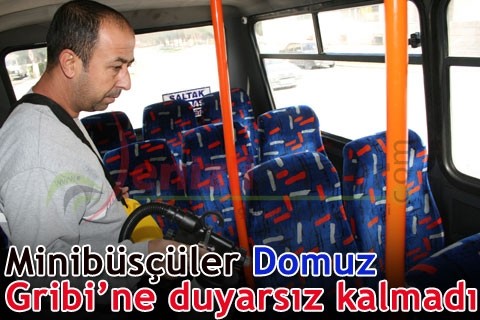 Minibüsçüler Domuz Gribi’ne duyarsız kalmadı