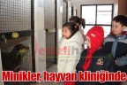 Minikler, hayvan kliniğinde