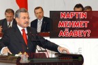 NAPTIN MEHMET AĞABEY?