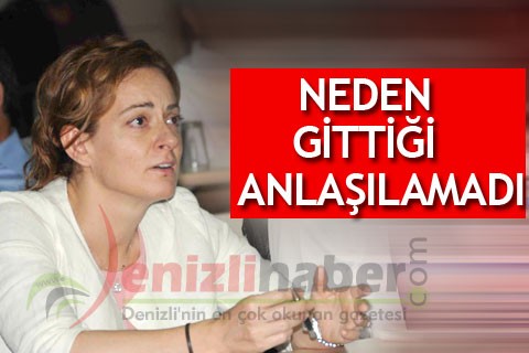 NEDEN GİTTİĞİ ANLAŞILAMADI?