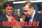 NEREDELER?