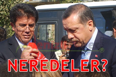 NEREDELER?